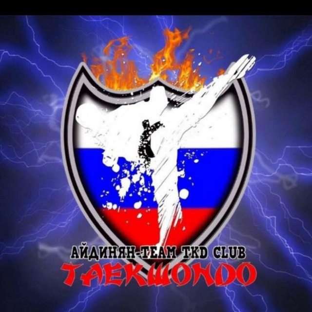 АЙДИНЯН-TEAM TKD CLUB