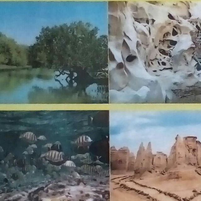 توریسم