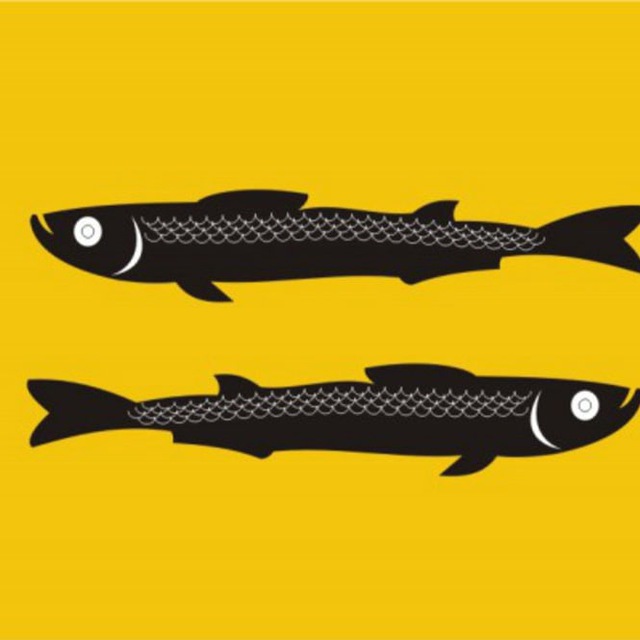 Новости Переславля-Залесского