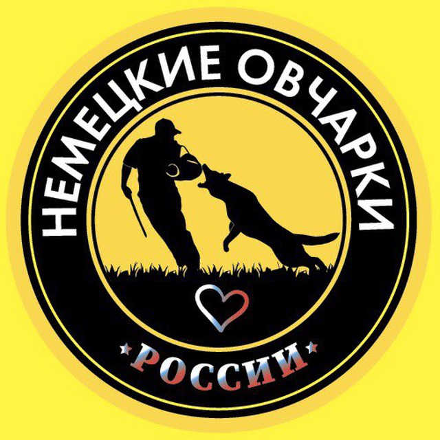 НЕМЕЦКИЕ ОВЧАРКИ РОССИИ
