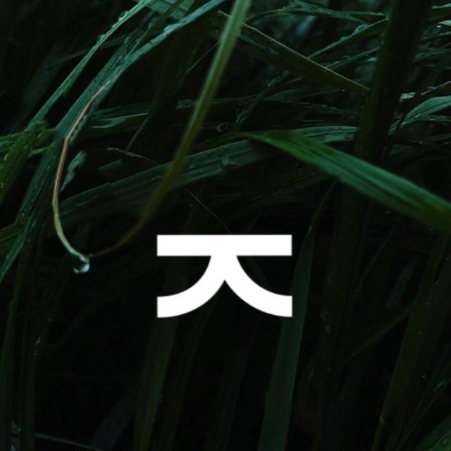 Котик, выдохни!