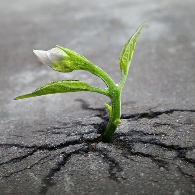 Buryatiya qizlari Sasha blond jinsiy aloqa video