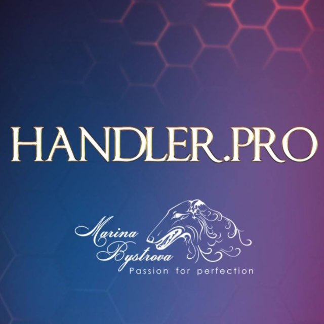 HANDLER.pro ?