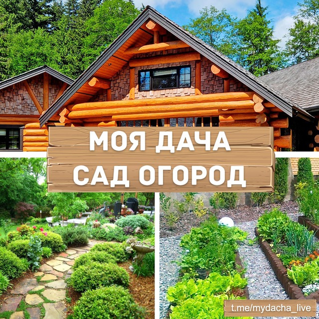 Дача, сад, огород