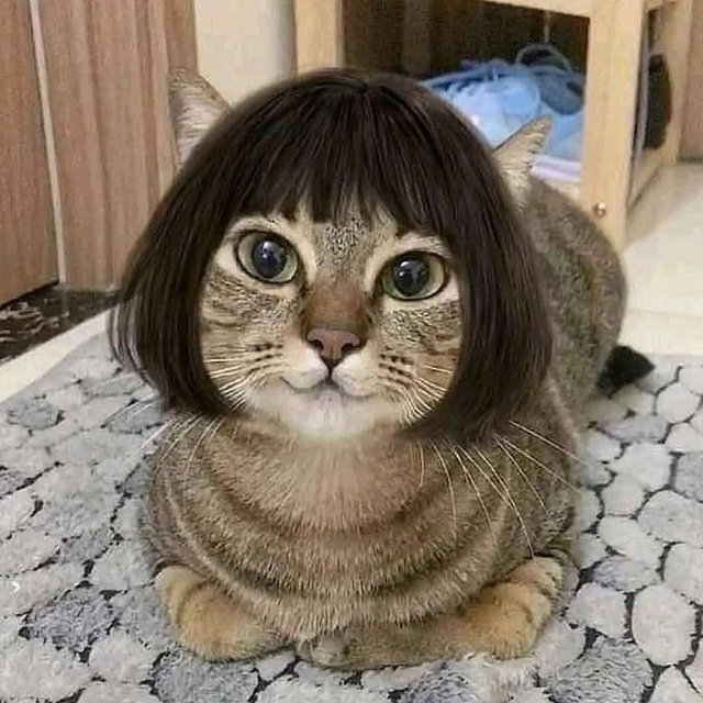 Это тупо