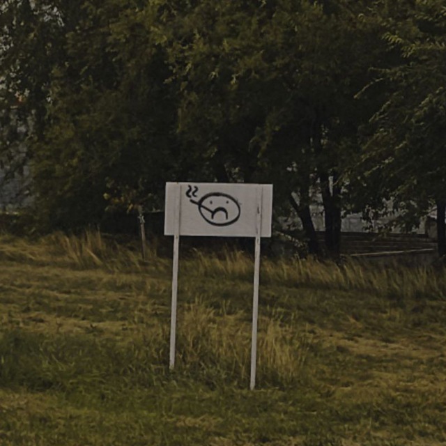 Пасмурный день?