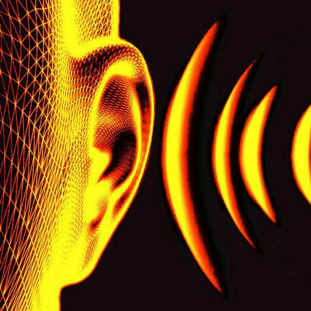 Сигнал │Z│ Шум