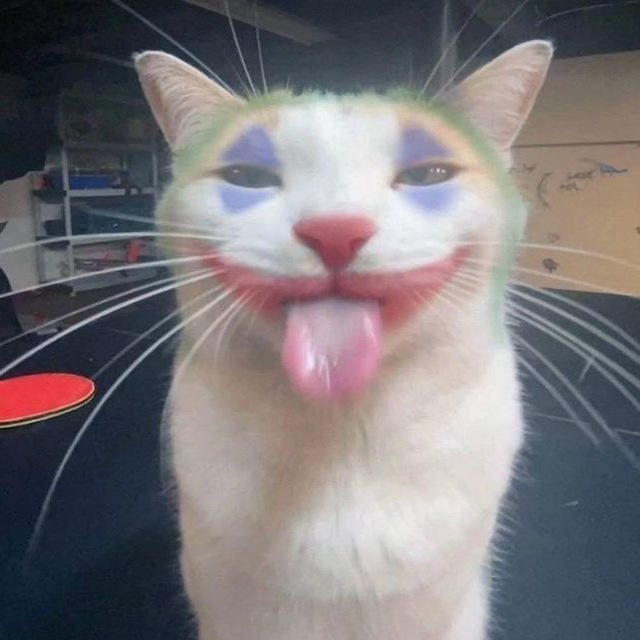 домик зажигалки❤️‍?