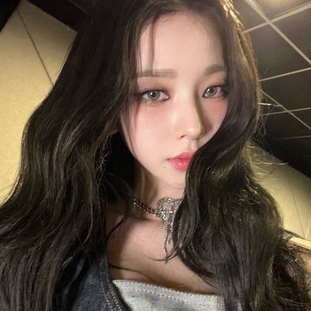 ⋆ ? ˚₊‧ norwegian forest