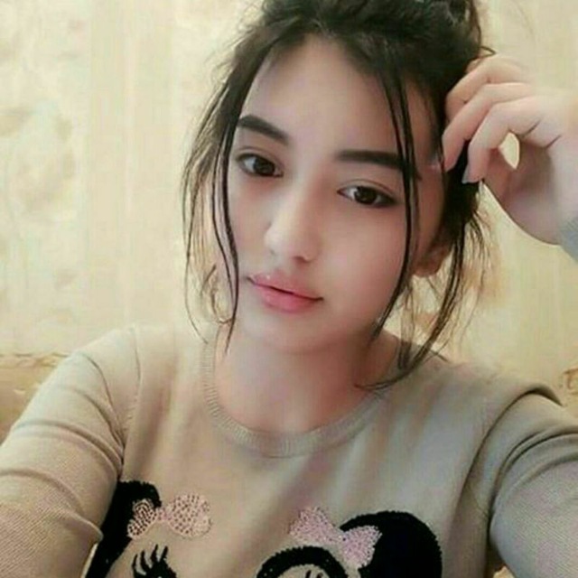 suzish kiyimidagi mushuklar