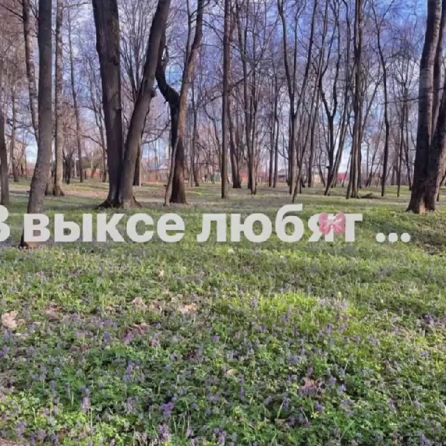 В Выксе любят …?
