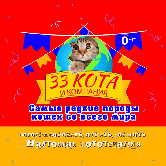 33 Кота и компания