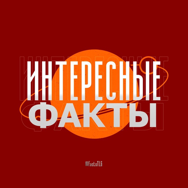 Интересные Факты