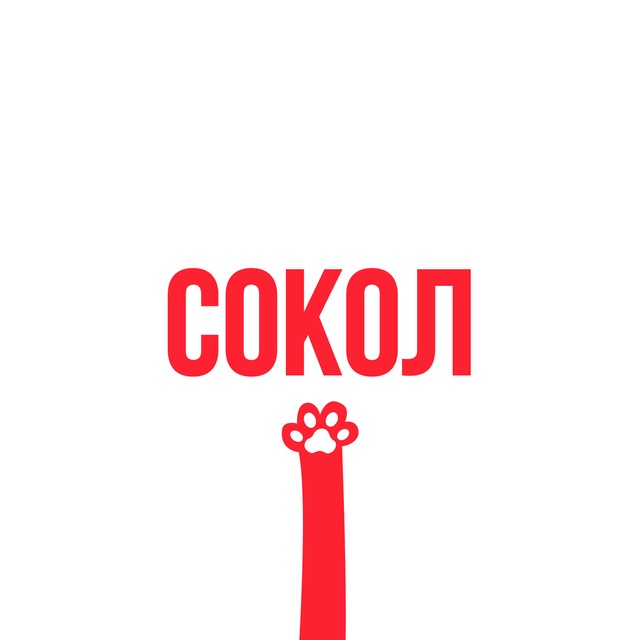 Вести Сокола