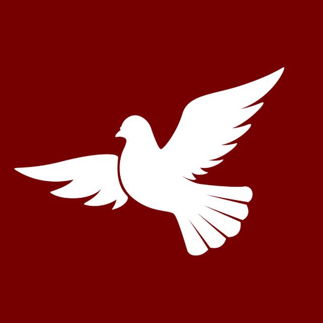 Ассамблея народов России