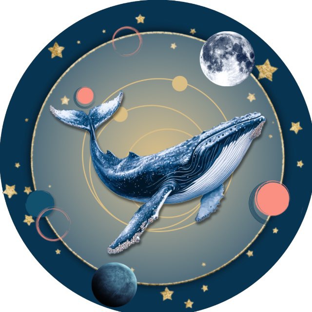 Дизайн человека | Школа IN-ME