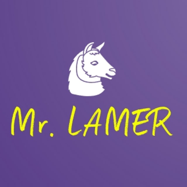 Mr.LAMER