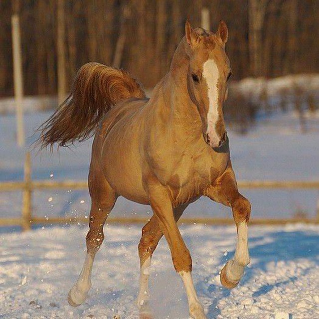 ⚠️⚠️⚠️