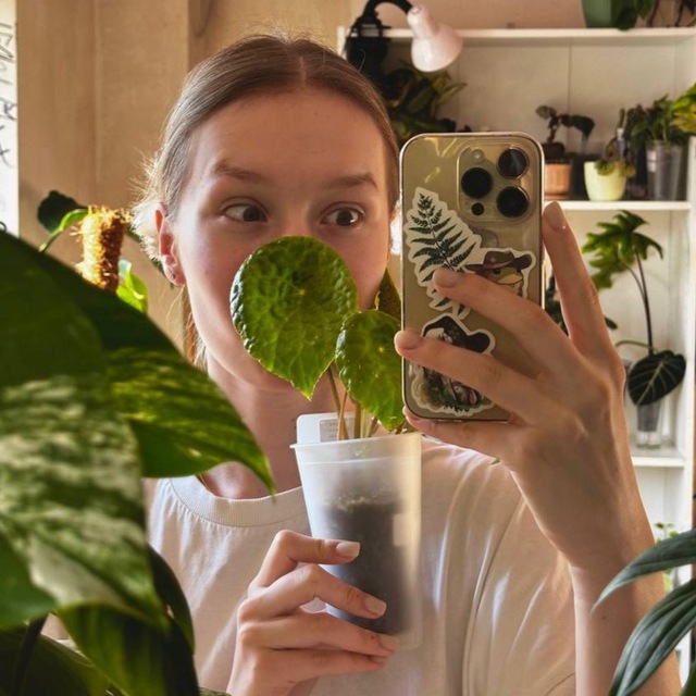 plantlifee.e | Комнатные растения