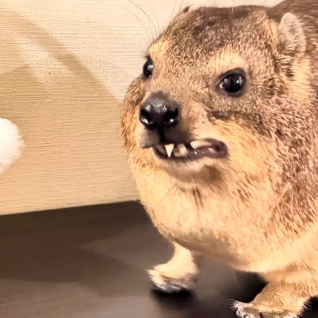 ОЙ КАК ВКУСНО