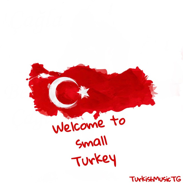 Telegram channel "Turkish music / Türkçe Müzik / Турецкая музыка" — TurkishMusicTG — TGStat