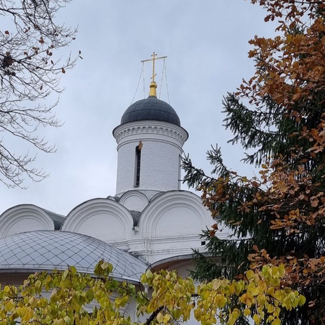 СВЕТ МИРА