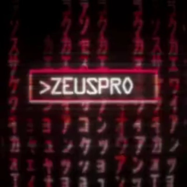 ZEUS-PRO CHECKER