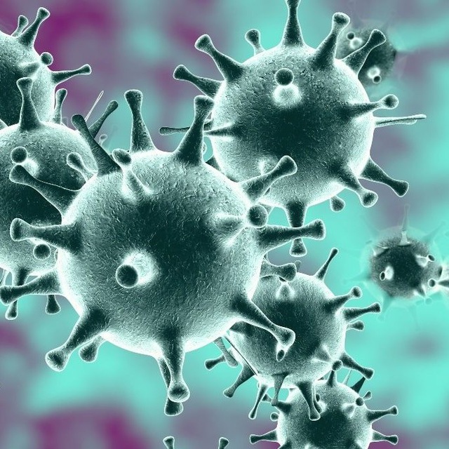 Коронавирус ? Сегодня. Новости. Статистика. Карта