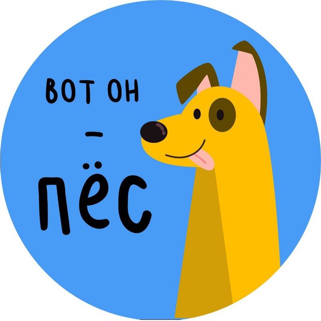 Вот он - пёс!