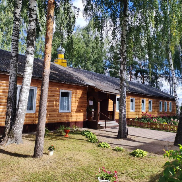 Александро-Невский храм г. Ногинск-9