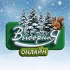 Выборная онлайн Новосибирск