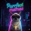 Purrfect Memes
