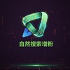自然搜索增粉