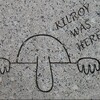 K I L R O Y