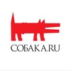 НН.Собака.ru
