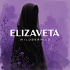 elizaveta | наставник wb