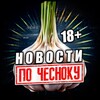 ПО-ЧЕСНОКУ 18+ 🧄