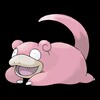 Slowpoke Investments