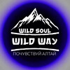WildWay | туры по Алтаю